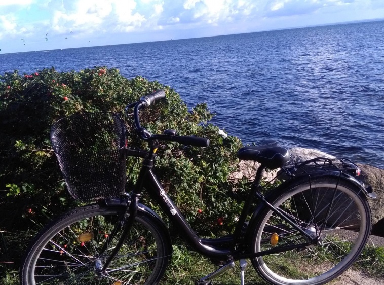 Hel Wypożyczalnia rower&oacute;w Ottobike 